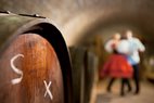 Caves viticoles: trésors de Moravie du Sud cachés sous terre