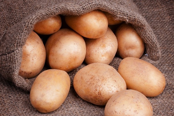 Праздник картошки на Высочине
