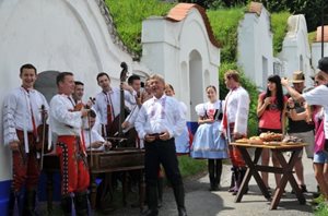 Vendange tchèque ne doit pas manquer le vin bourru!